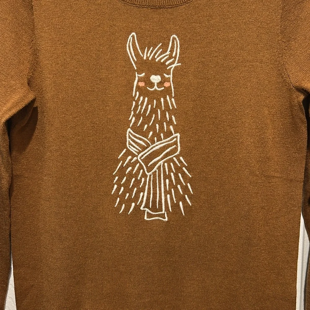 J. Crew Embroidered Alpaca Sweater - Picture 4 of 11